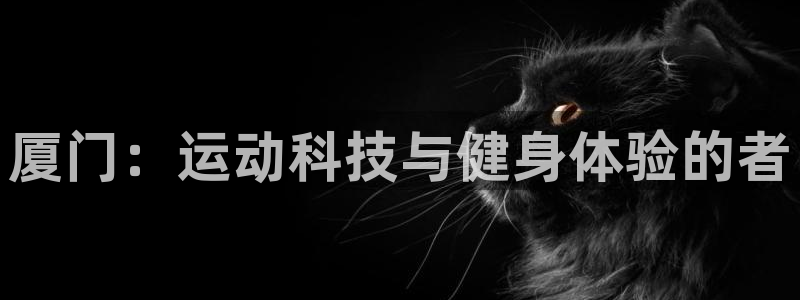 熊猫体育官网下载平台：厦门：运动科技与健身体验的者