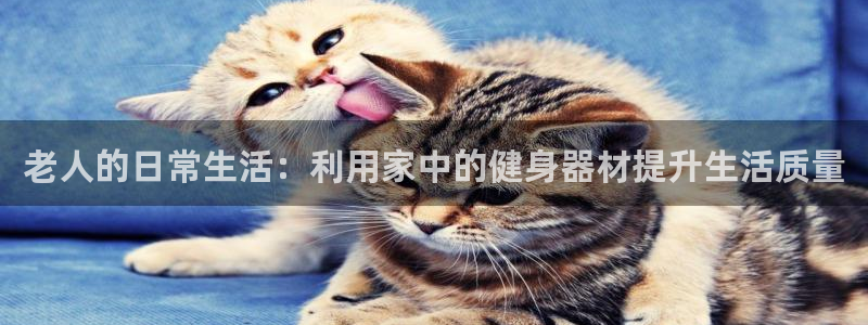 熊猫体育官网下载平台注册要钱吗：老人的日常生活：利用家中的健