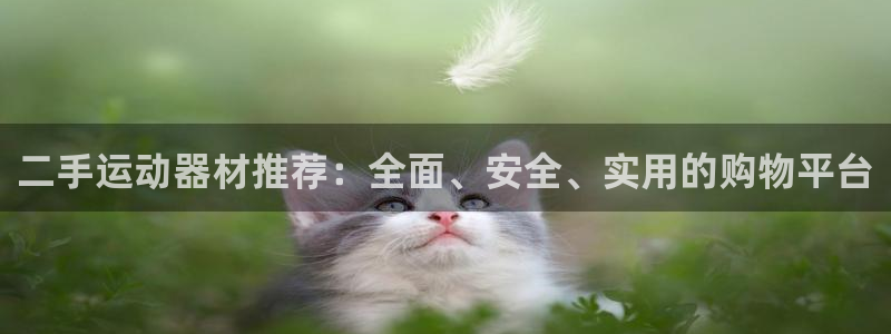 熊猫体育娱乐首页网站大全：二手运动器材推荐：全面、安全、实用