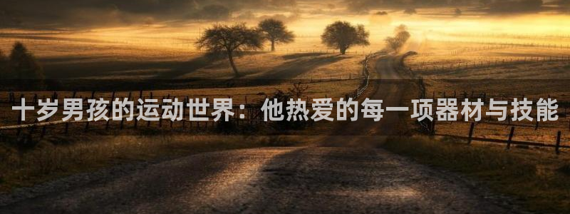 熊猫体育娱乐首页网站大全：十岁男孩的运动世界：他热爱的每一项