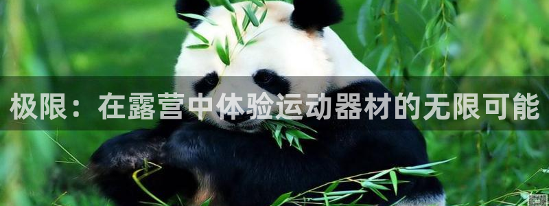 熊猫体育官网下载开户