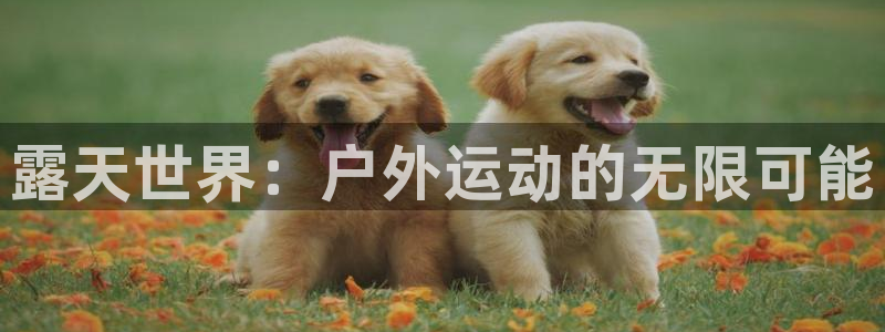 熊猫体育官网下载平台注册流程图：露天世界：户外运动的无限可能