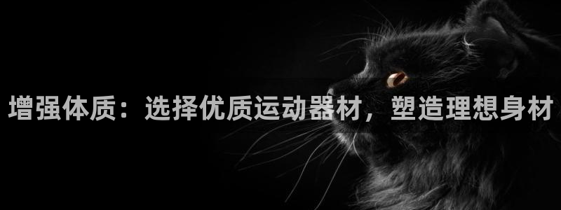 熊猫体育集团logo