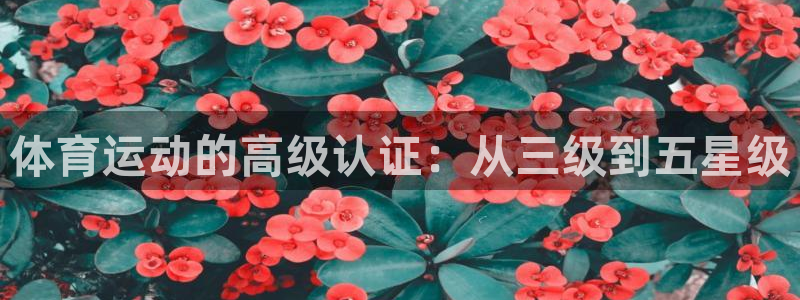 oety欧亿