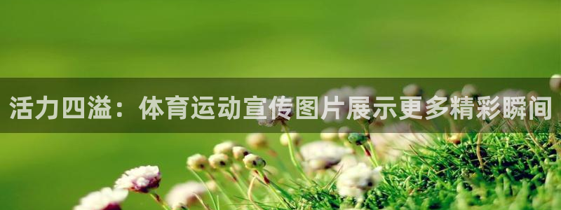 oety欧亿：活力四溢：体育运动宣传图片展示更多精彩瞬间