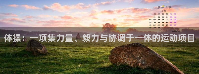 oety欧亿：体操：一项集力量、毅力与协调于一体的运动项目