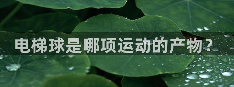 oety欧亿：电梯球是哪项运动的产物？