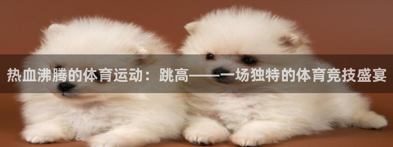 oety欧亿：热血沸腾的体育运动：跳高——一场独特的体育竞技盛宴