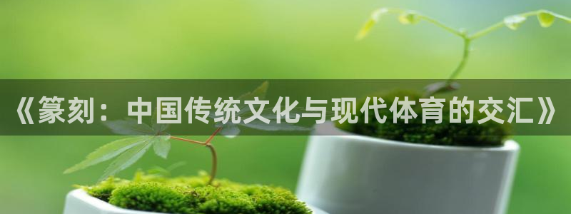 oety欧亿：《篆刻：中国传统文化与现代体育的交汇》
