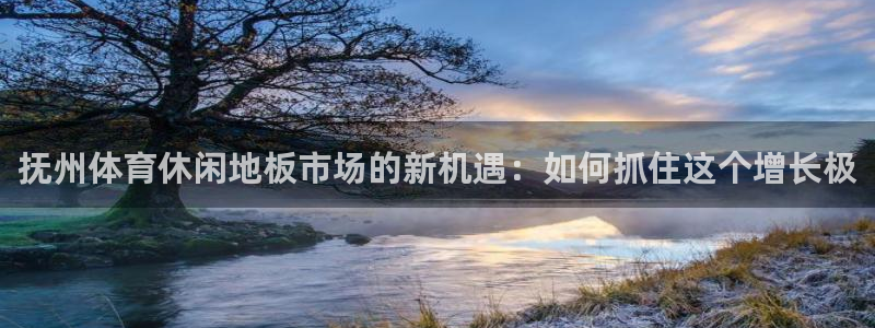 oety欧亿：抚州体育休闲地板市场的新机遇：如何抓住这个增长极