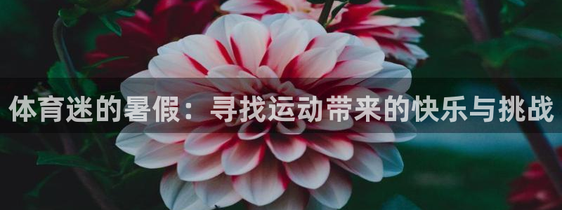 oety欧亿：体育迷的暑假：寻找运动带来的快乐与挑战